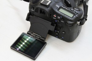 α77Ⅱﾛｰｱﾝｸﾞﾙ横