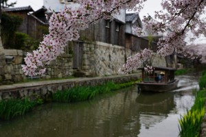 α77Ⅱ　近江八幡③