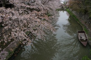 α77Ⅱ　近江八幡②スタンダード