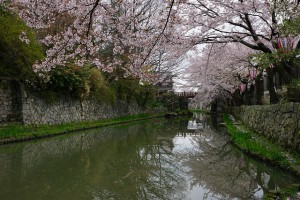 α77Ⅱ　近江八幡①風景