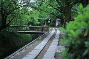 哲学　F2.8