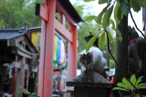 伏見稲荷3