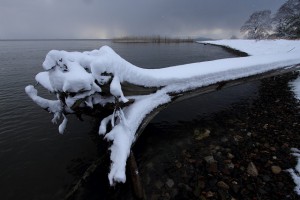 EF-S10-22　10　雪　接写