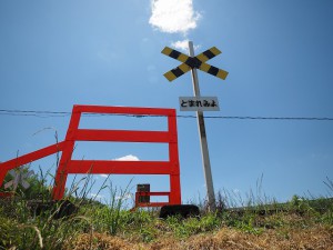 7-14　11-2.8③逆光