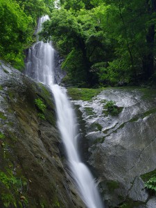 645Z　55　F22　ISO100
