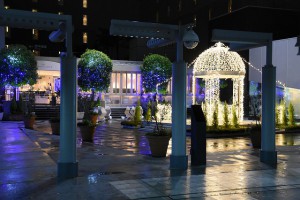 AF-S16-80　F3.2　31　ISO7200