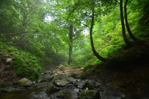 AF-S18-35　F3.5　18