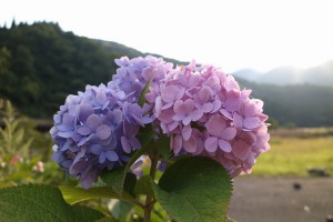 EOSM3　F5.6　ISO100②