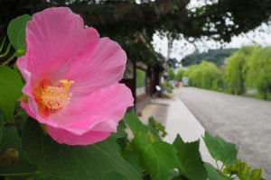 E-M10Ⅱ　F5.6-14mm