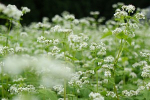EOSM3　F5.6　ISO100