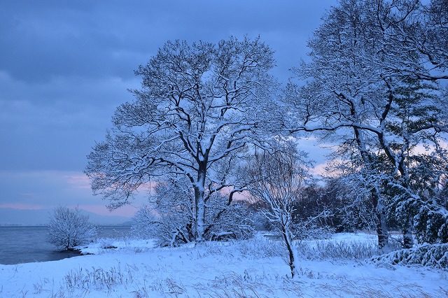 琵琶湖 冬景色①