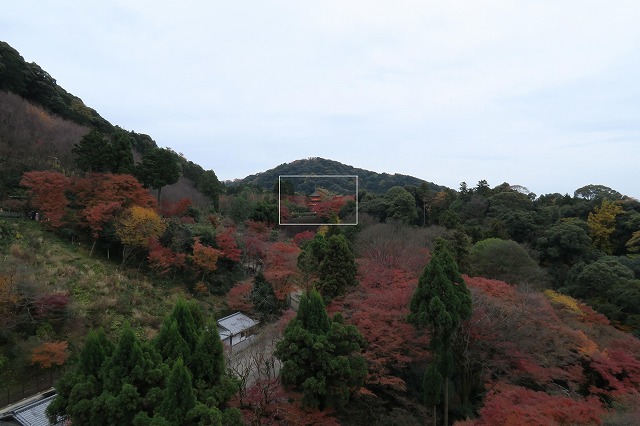 広角 四角