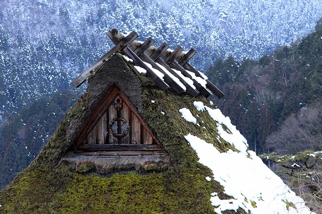 美山③