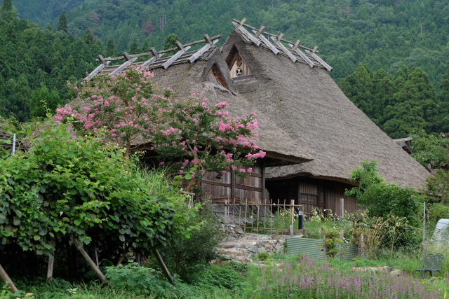 美山③