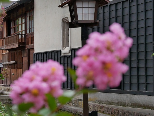 GX7　フォーカスセレクト①