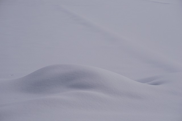 DSC04362