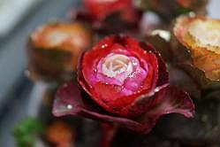花2
