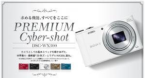DSC-WX300 W
