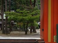 京都　今宮神社