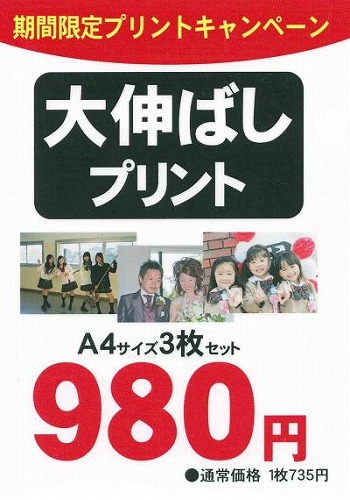 A4 3枚セット2