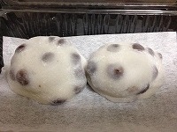 双葉　豆餅