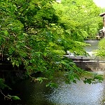 白川南通り３