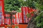 初辰さんノボリ２