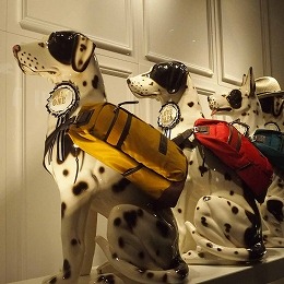 大丸ショーウィンドウ