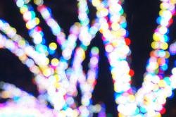 DSC00006_20121215142643.jpg