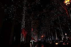 DSC00028.jpg