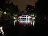 DSC00042.jpg