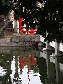 DSC00045_20131109125301e90.jpg