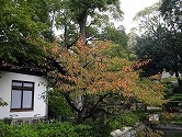 DSC00048.jpg