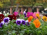 DSC00054.jpg