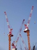 DSC00075_201311091301459ba.jpg