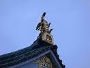 DSC00243.jpg