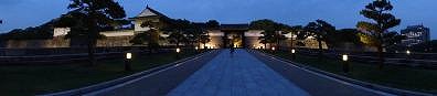 DSC00247.jpg