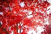 DSC06316.jpg