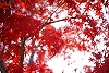 DSC06317.jpg