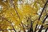 DSC06319.jpg