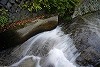 DSC06326.jpg