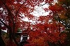 DSC06334.jpg