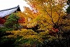 DSC06340.jpg