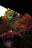 DSC06341.jpg