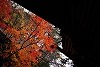 DSC06346.jpg