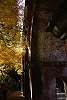 DSC06361.jpg