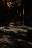 DSC06362.jpg