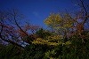 DSC06385.jpg
