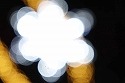 DSC09391.jpg