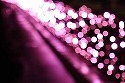 DSC09415.jpg
